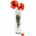 Ваза цилиндър Pasabahce Botanica 26 см / 800031